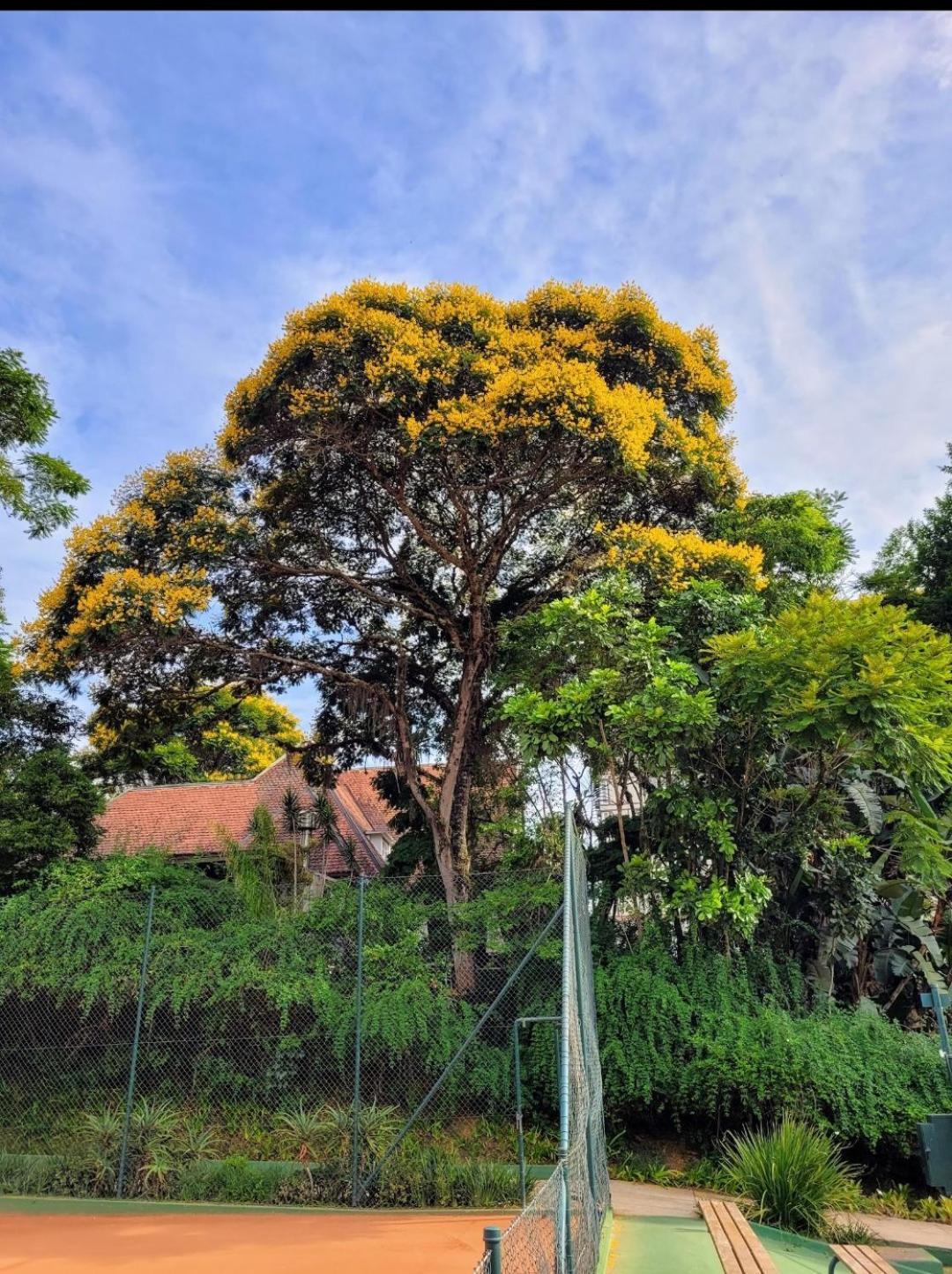 מלון Itaipava Granja Brasil Puc 10 2 מראה חיצוני תמונה